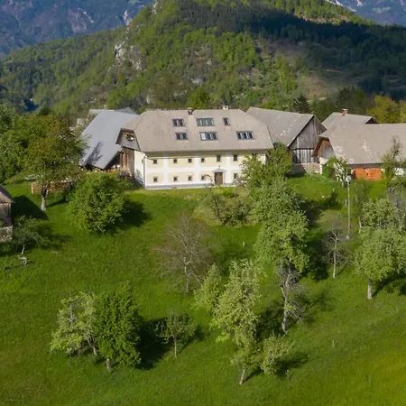 Krnicar Apartment Zgornje Gorje