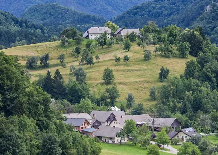 Krnicar Zgornje Gorje